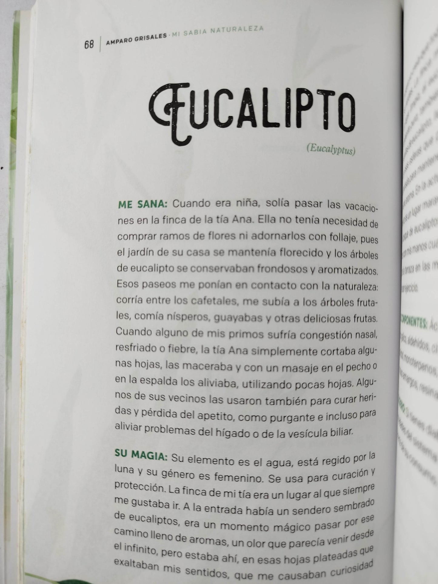 Mi Sabia Naturaleza by Amparo Grisales