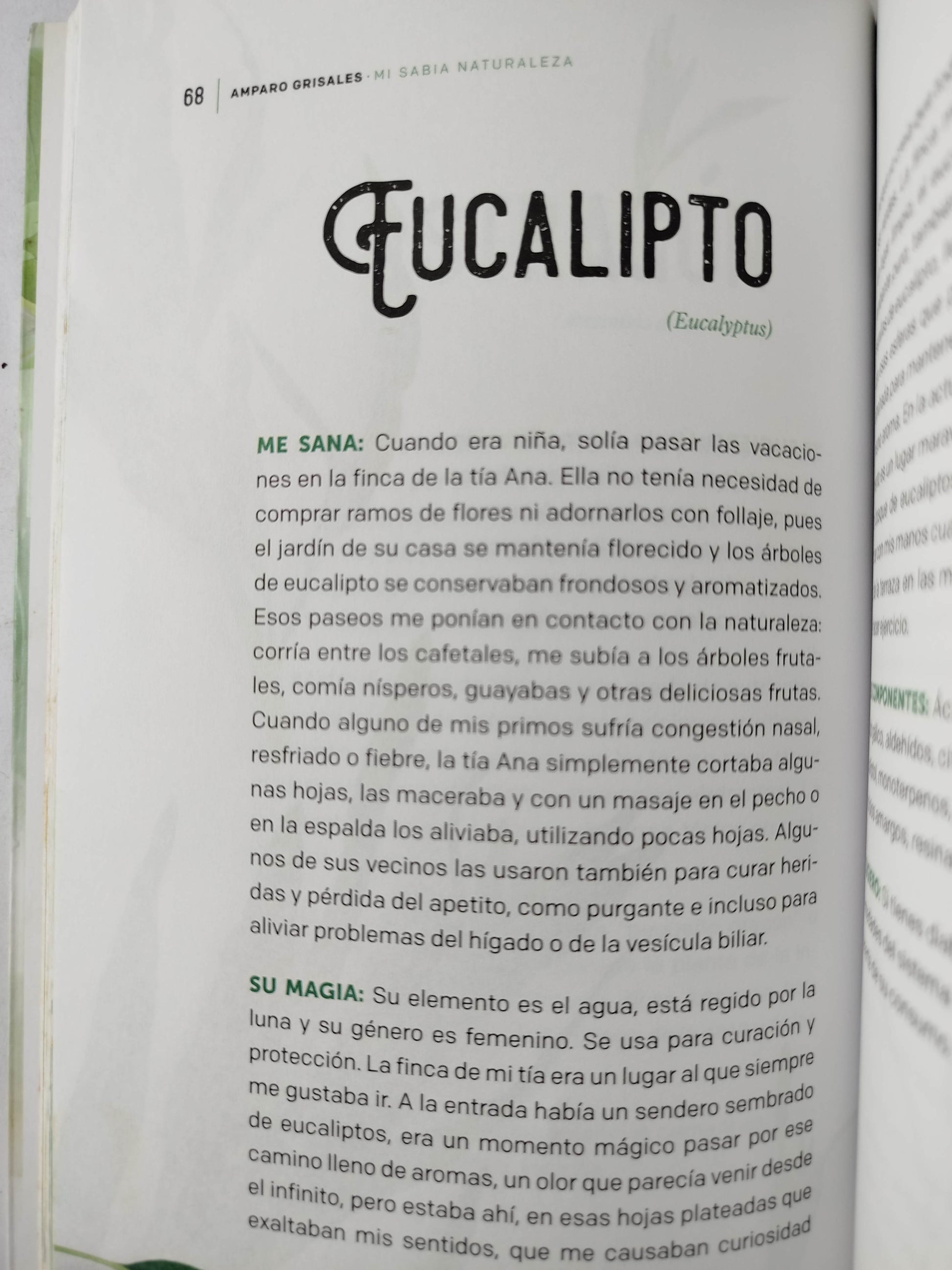 Mi Sabia Naturaleza by Amparo Grisales