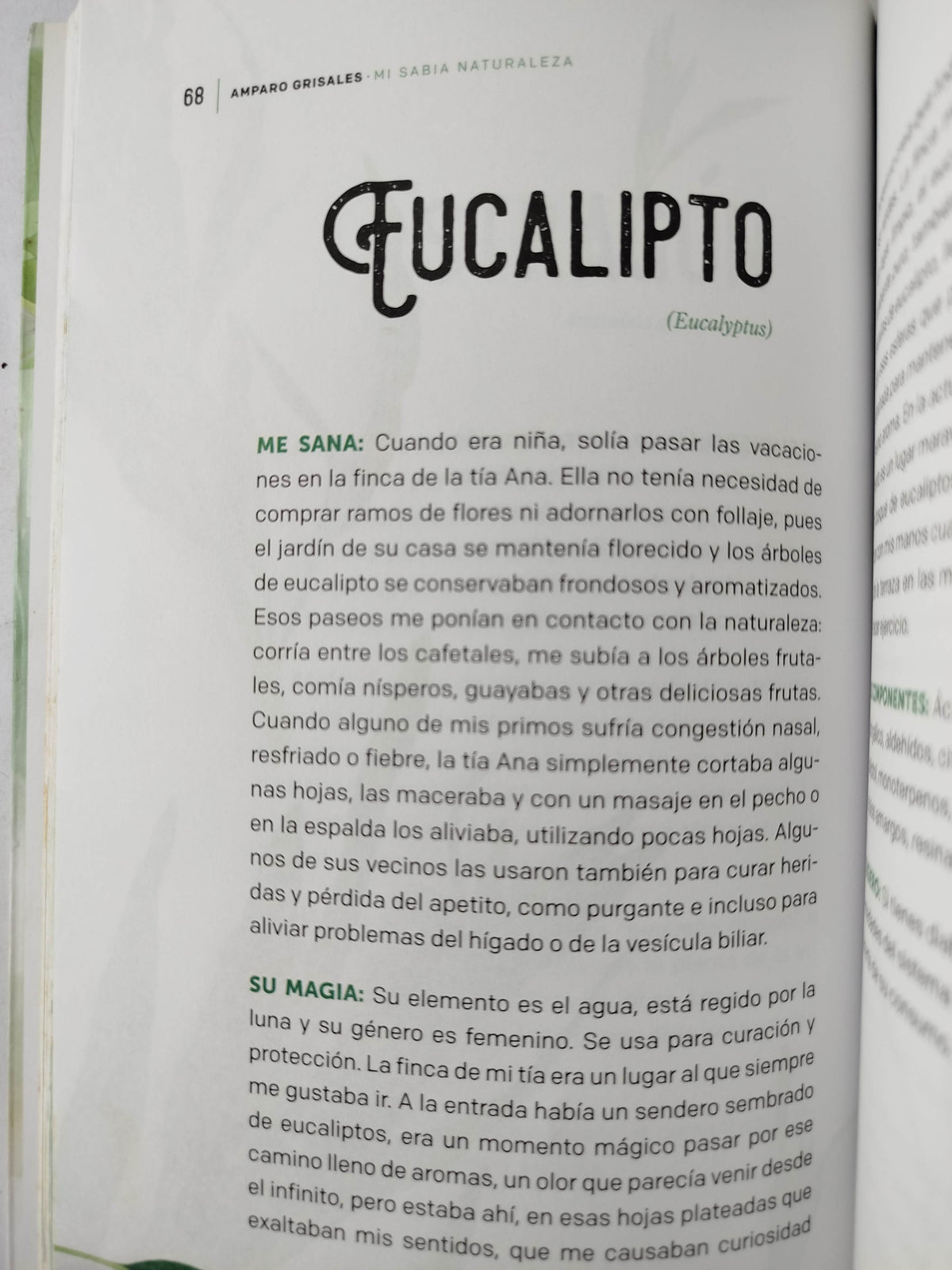 Mi Sabia Naturaleza by Amparo Grisales