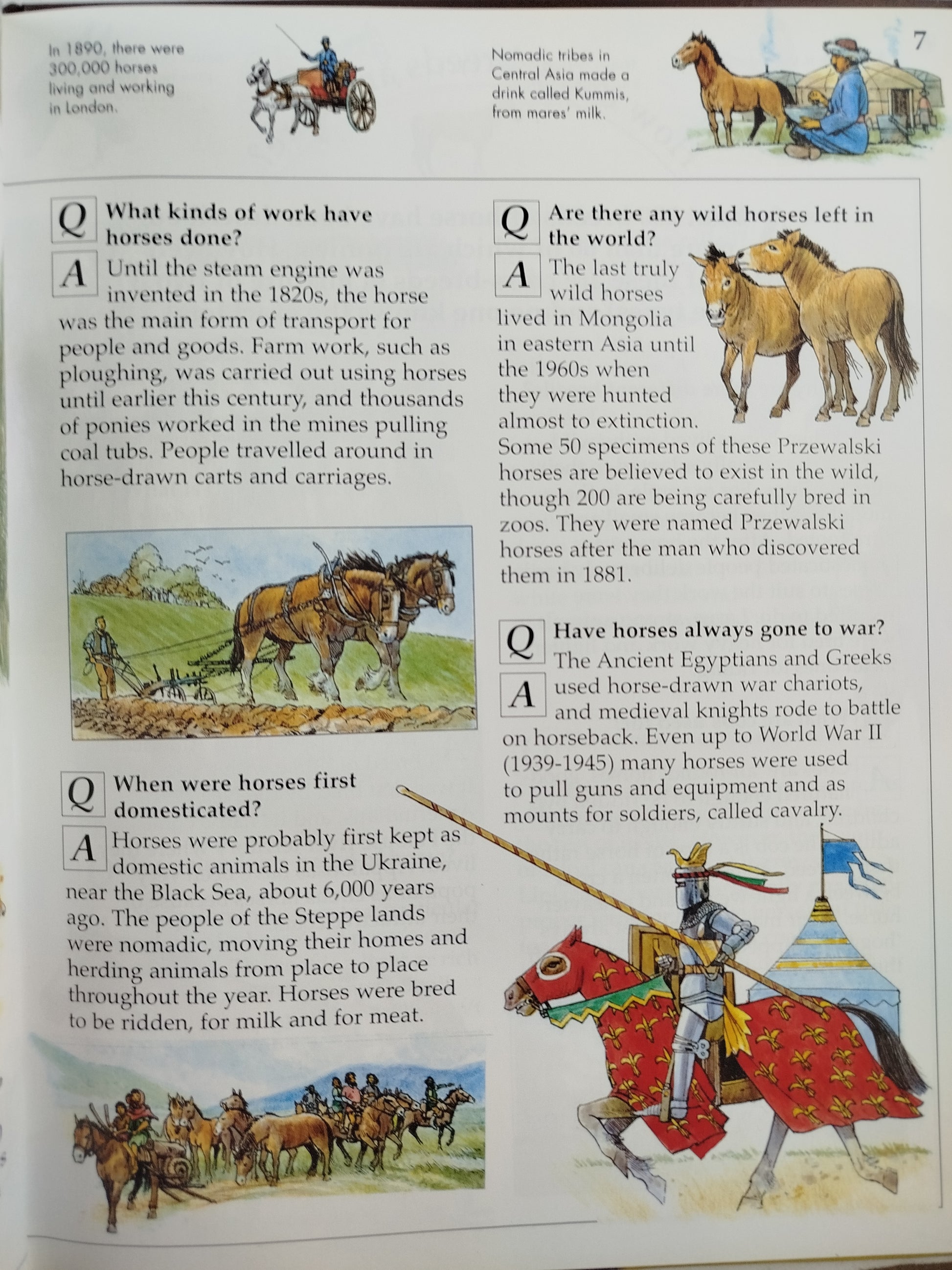 Horses and Ponies by Knowledge Masters