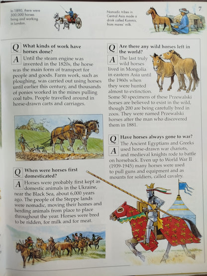 Horses and Ponies by Knowledge Masters
