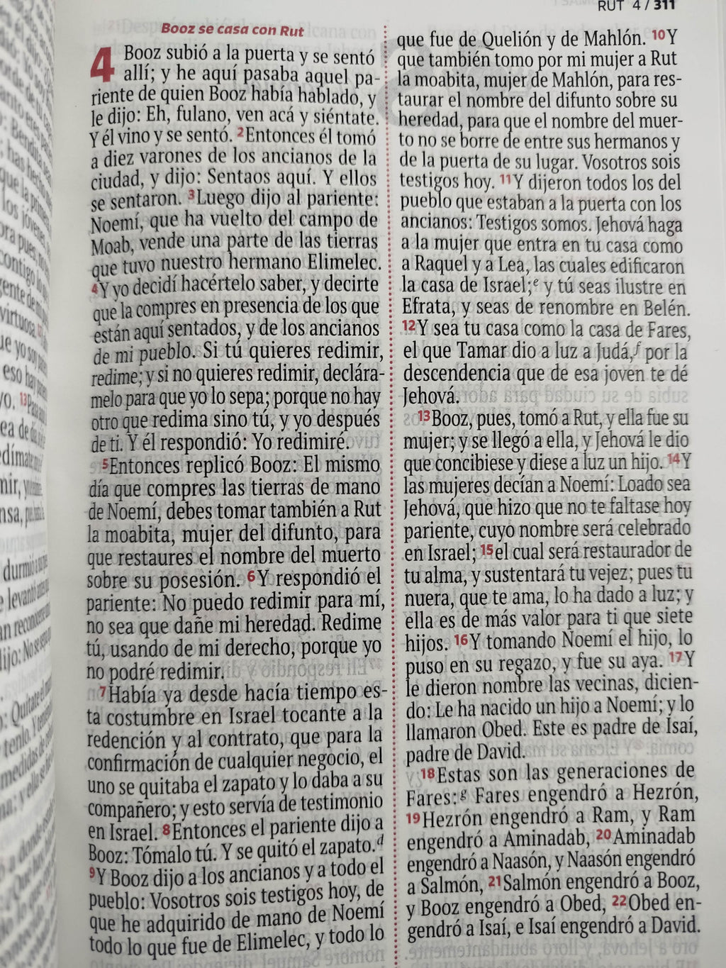 Biblia RVR 1960 letra grande verde - rosado by Reina Valera 1960