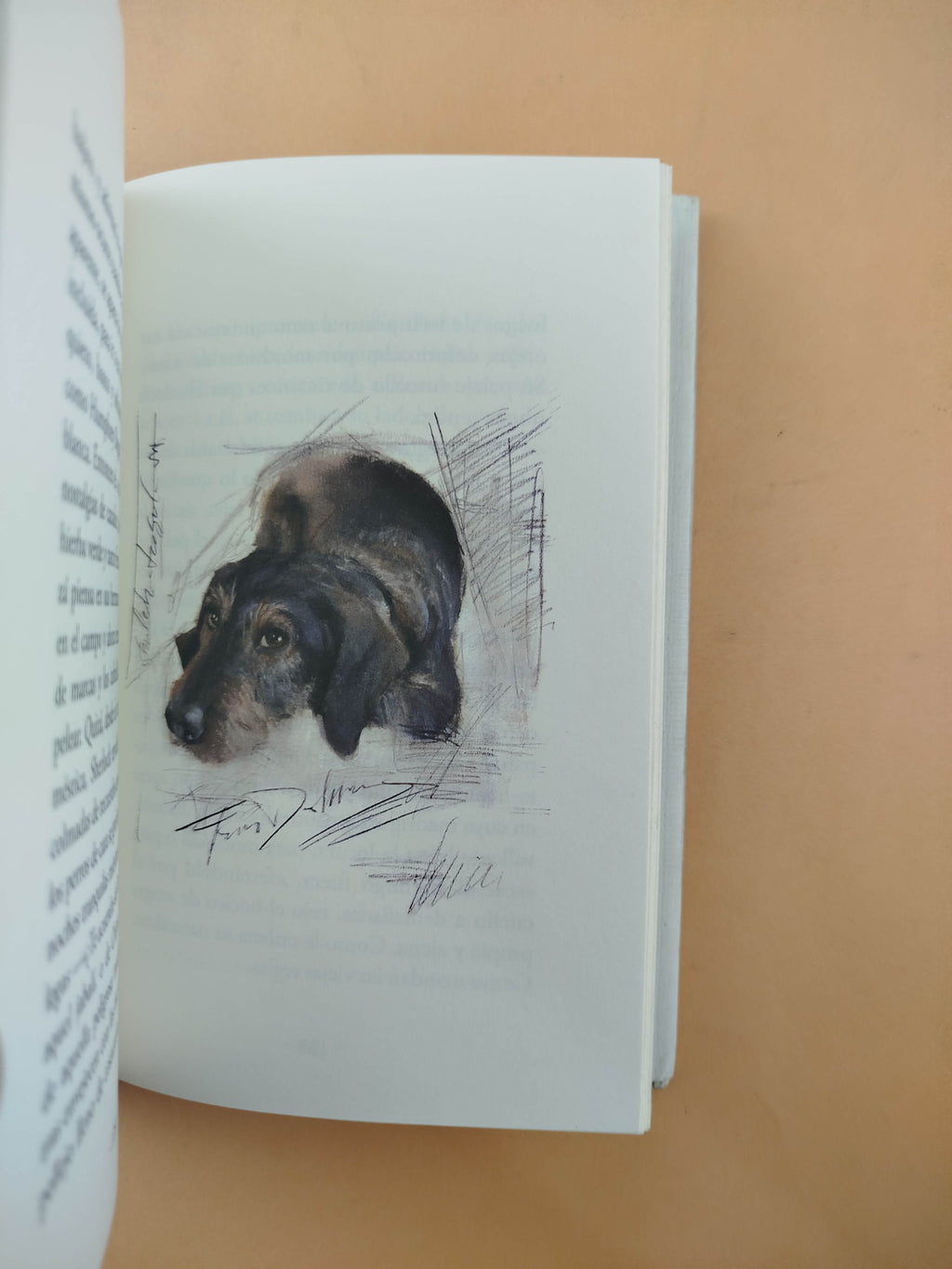 Perros e hijos de perra by Arturo Pérez Reverte