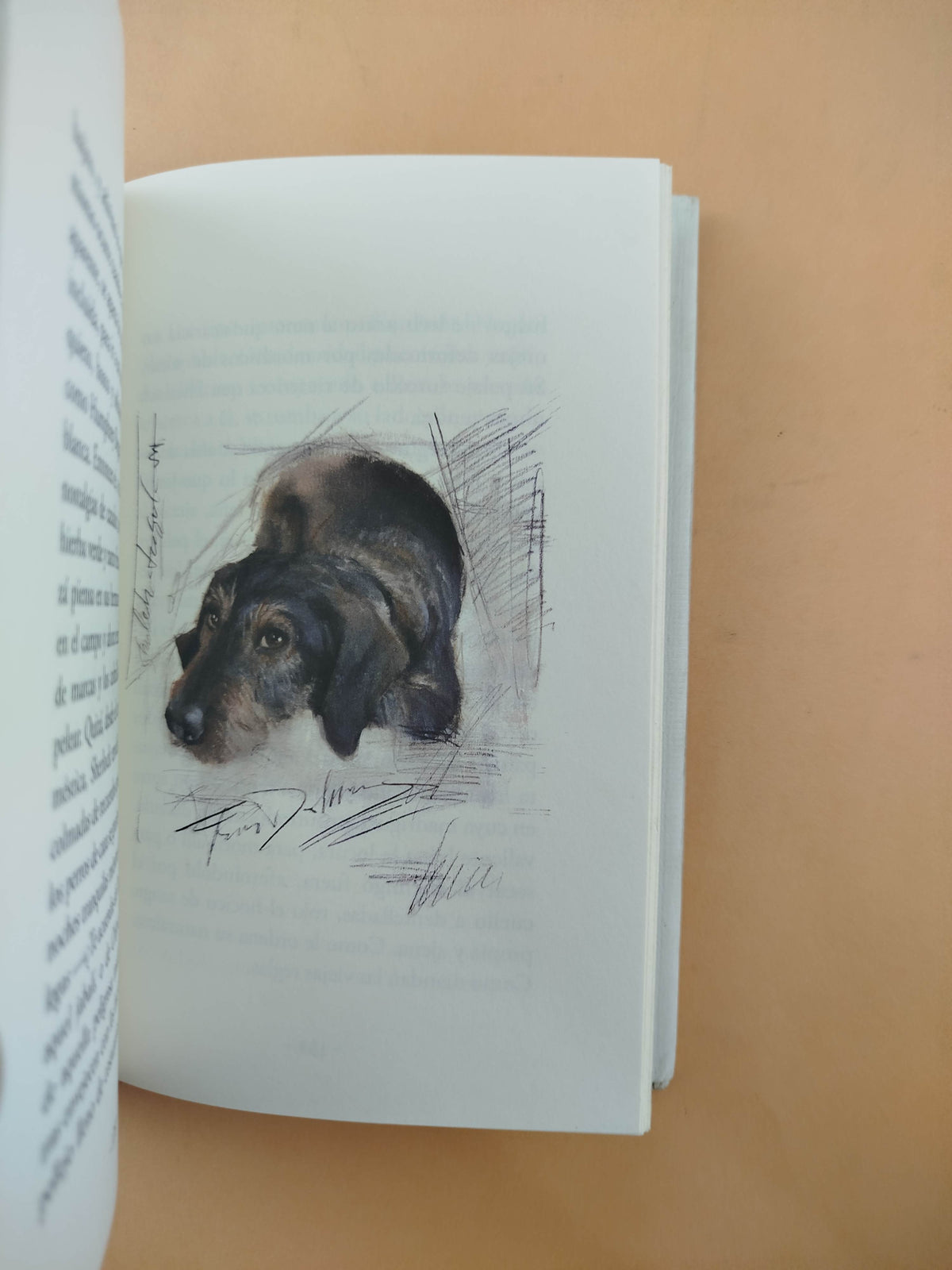 Perros e hijos de perra by Arturo Pérez Reverte