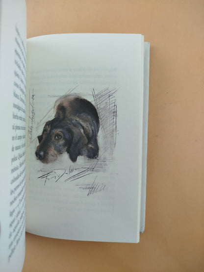 Perros e hijos de perra