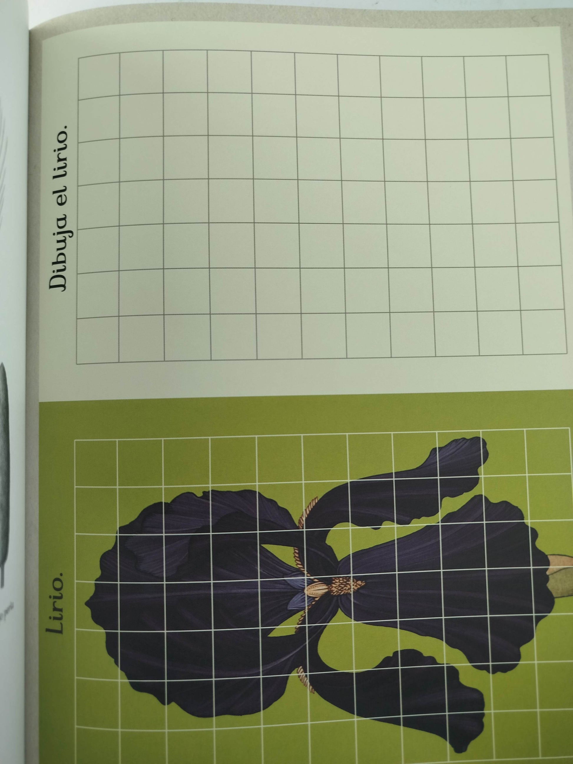 Botanicum Libro De Actividades by Katie Scott