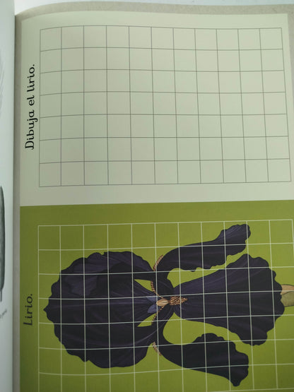 Botanicum Libro De Actividades by Katie Scott