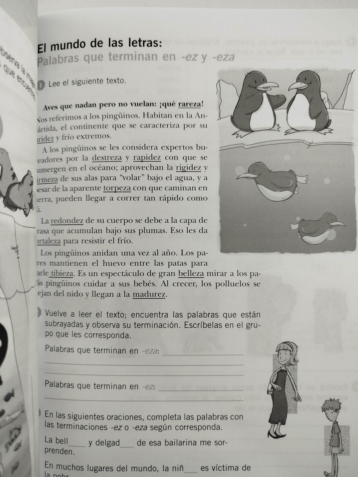 Ejercicios de Ortografía 3 primaria by Varios