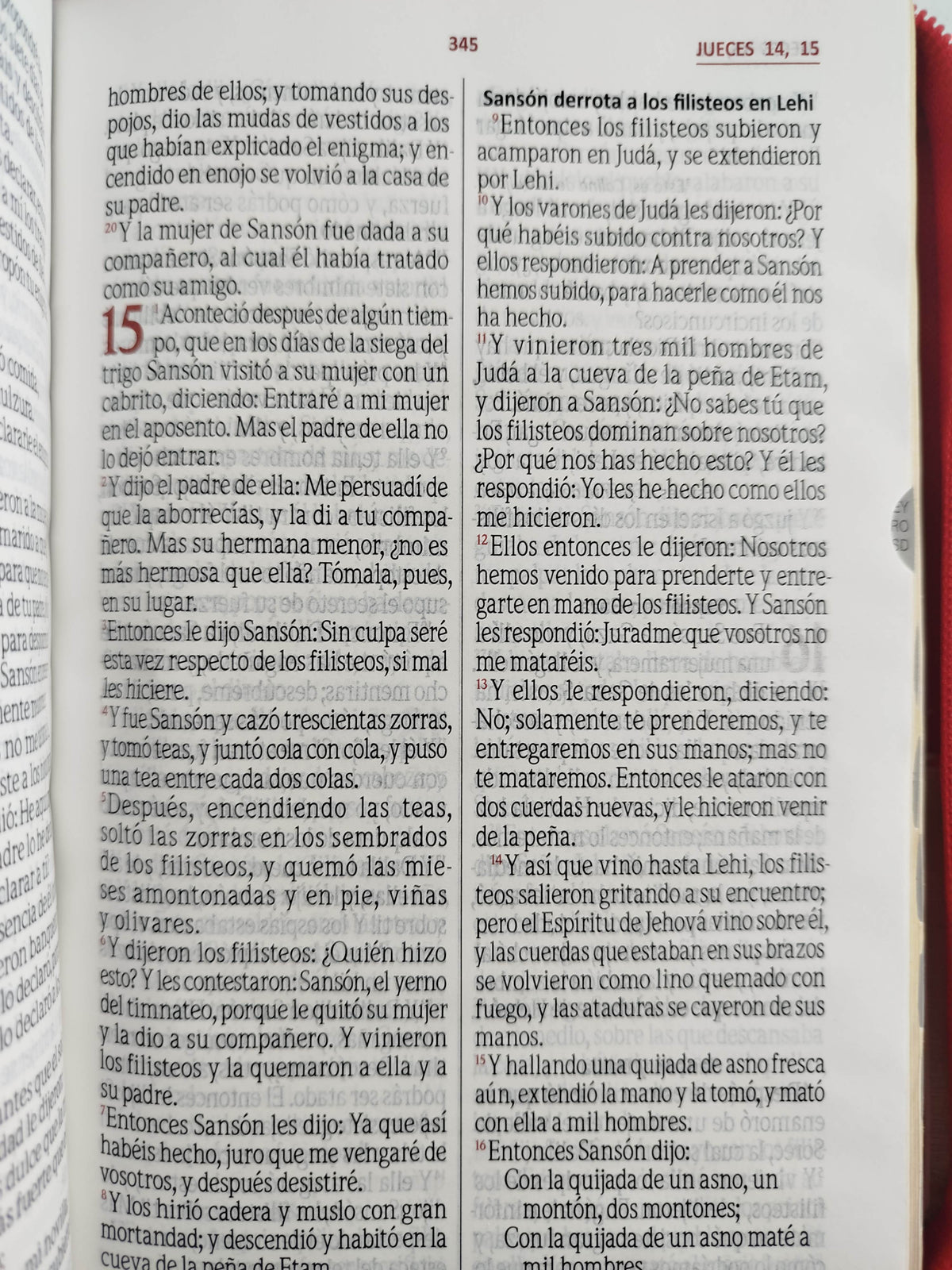 Biblia rvr con índice beige rojo canto dorado by Varios