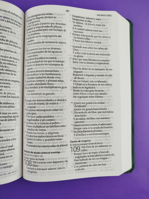 Biblia rvr 1960 nombres de Dios letra grande verde olivo tapa dura by Reina Valera 1960