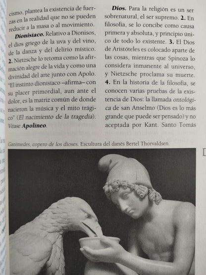 Diccionario de filosofia by víctor florián