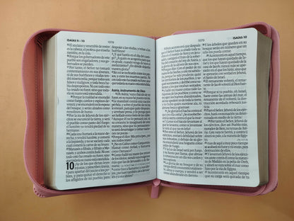 Biblia rvr 1960 rosado letra grande con forro borde dorado by Reina Valera 1960