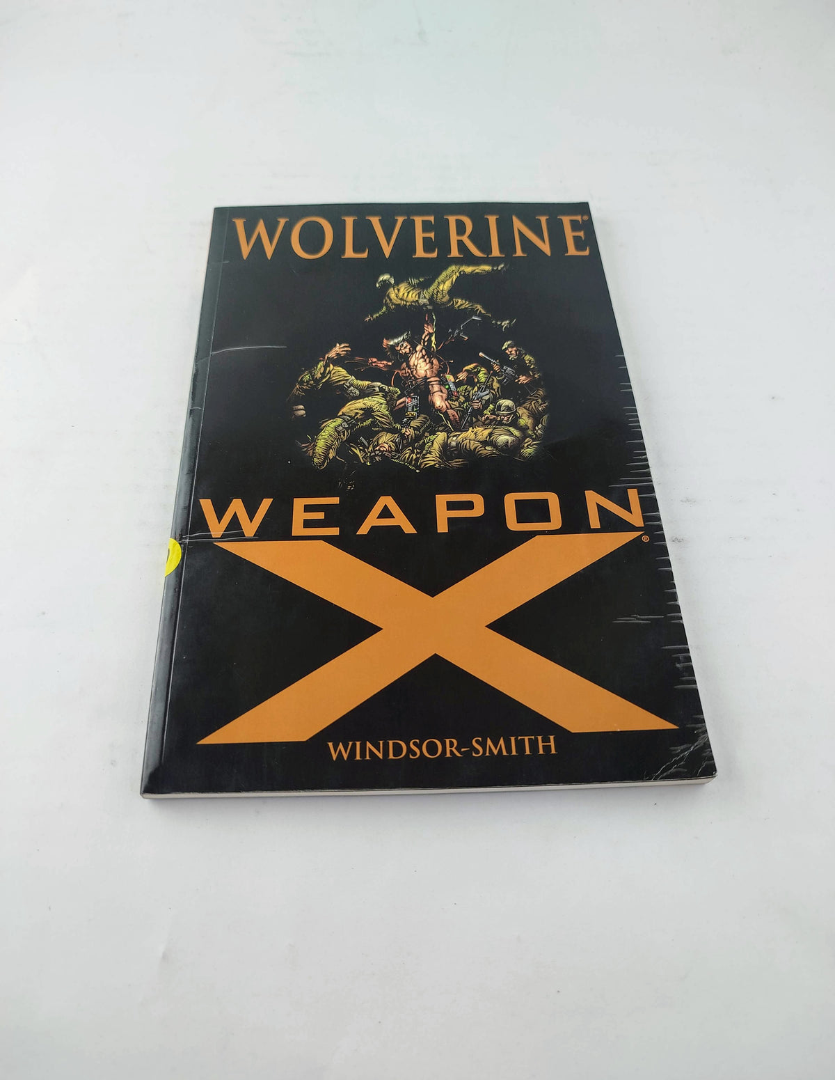 Wolverine weapon x by Windsor Smith