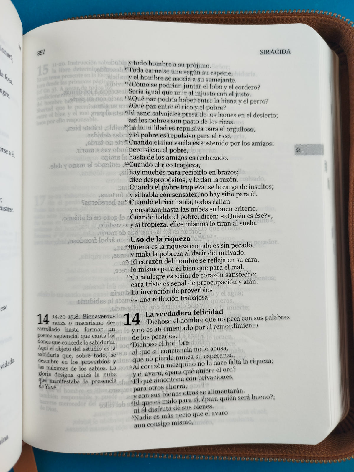 Nuestra sagrada biblia clásica estuche cafe claro by Varios