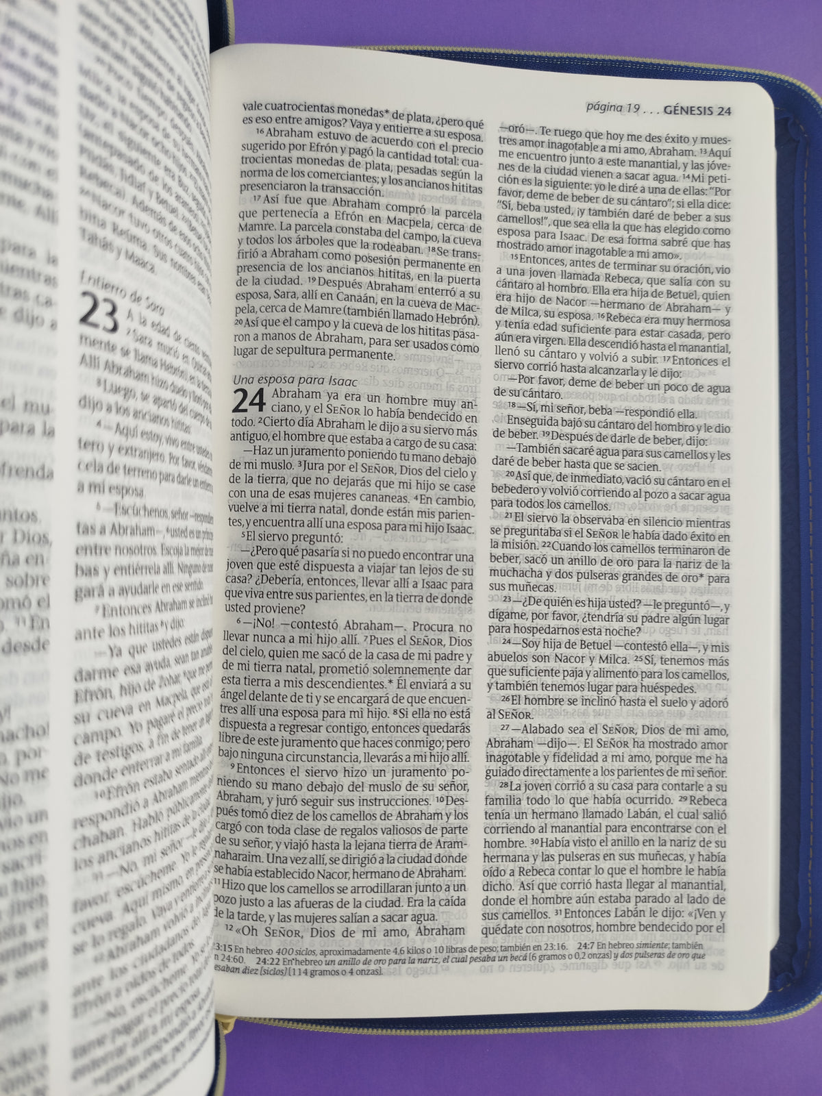 Biblia edición zíper sentipiel azul oscuro girasol by Nueva Traducción Viviente