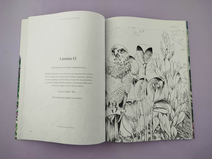 Páramos para colorear