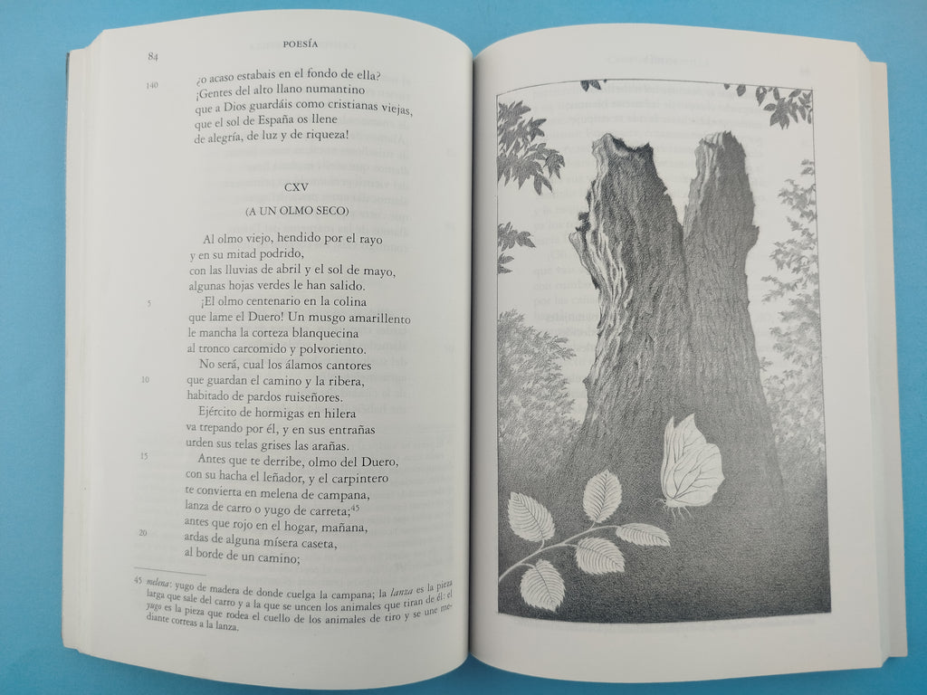 Poesia by Antonio Machado