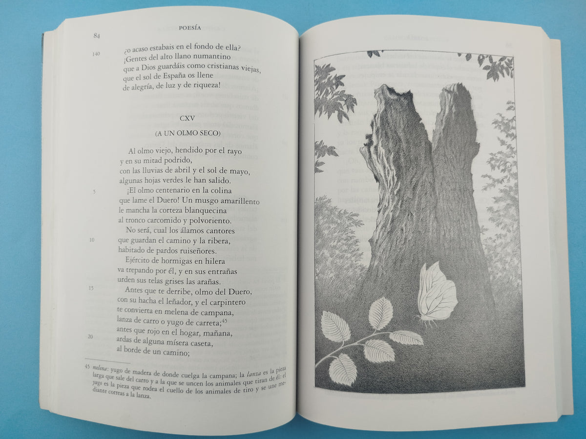 Poesia by Antonio Machado