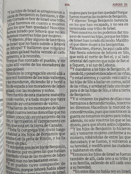 Biblia letra gigante beige negro borde blanco by Reina valera 1960