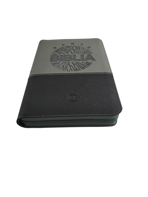 Biblia rvr con índice Gris negra canto plateado by Varios