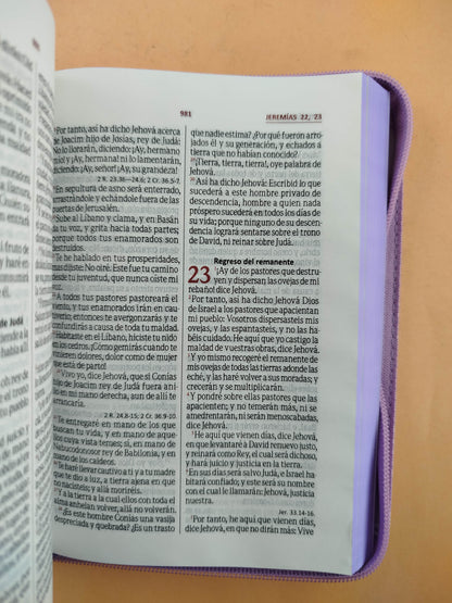 Biblia rvr 1960 blanco mariposas