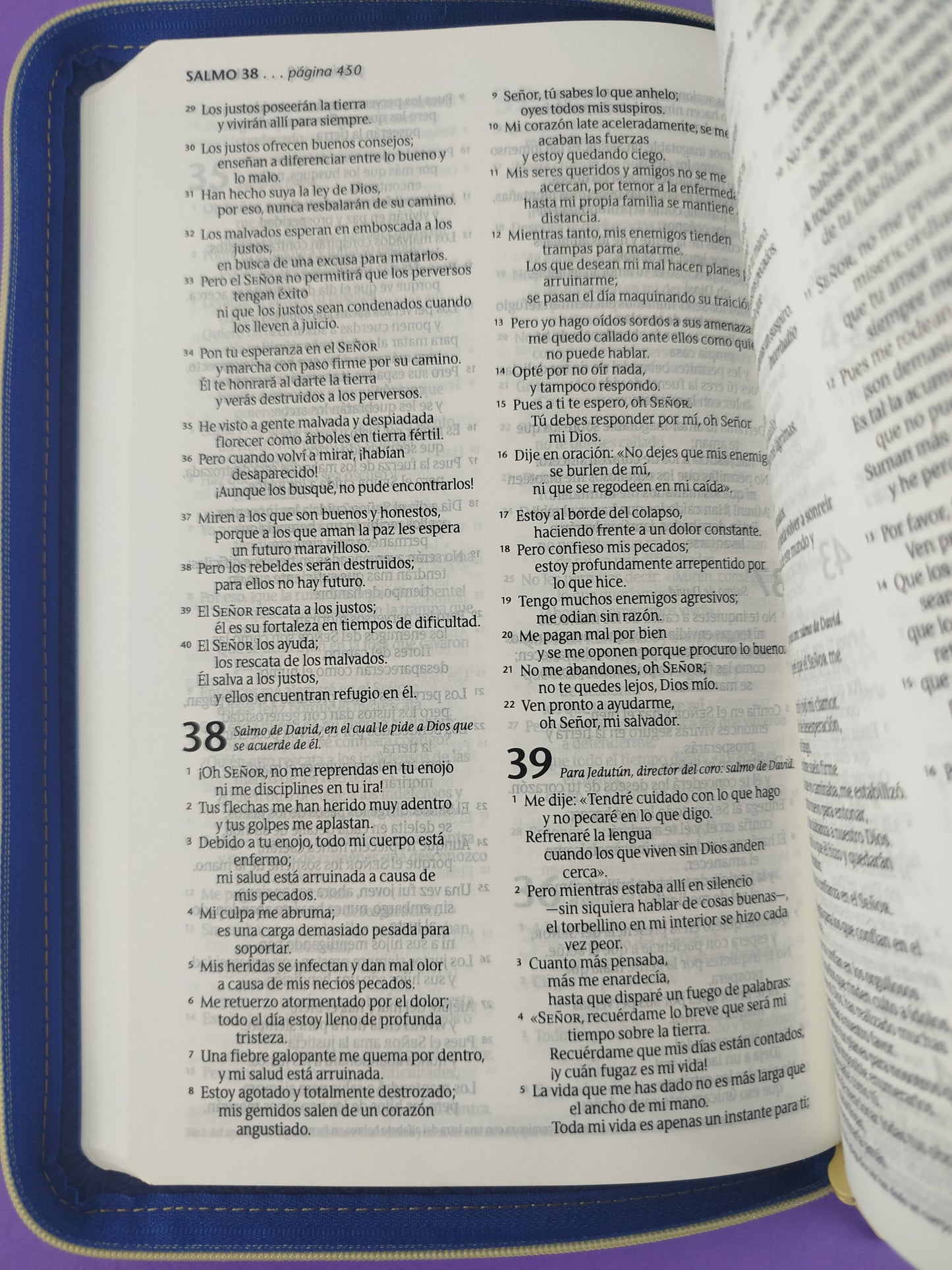 Biblia edición zíper sentipiel azul oscuro girasol