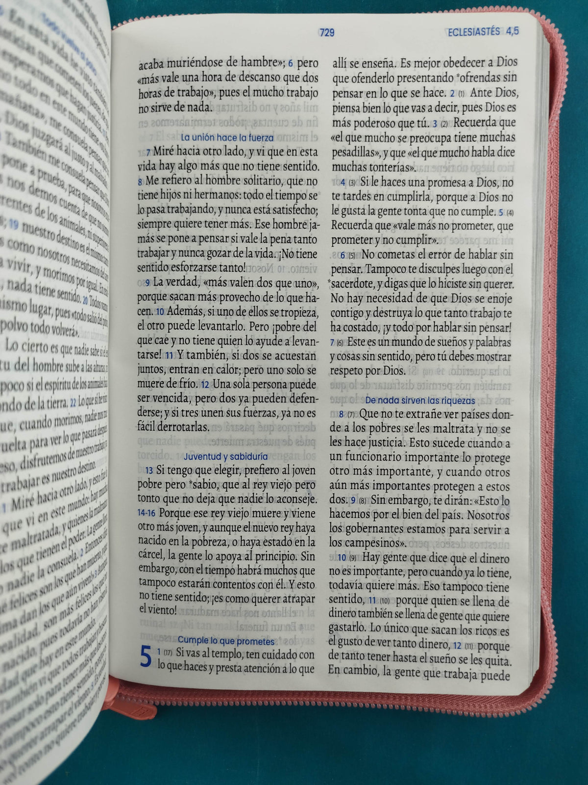 Biblia Tla Letra Grande El Camino rosado Cierre by Lenguaje actual
