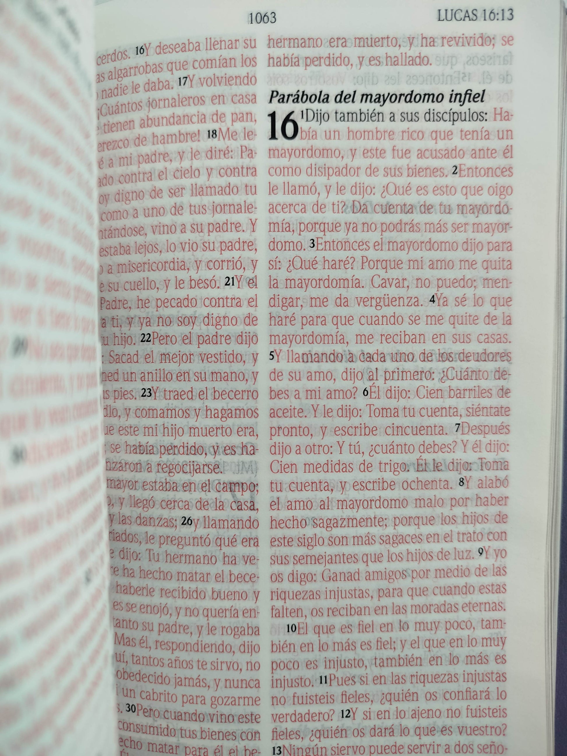 Biblia promesas RVR canto plateado sin cierre by Tyndale