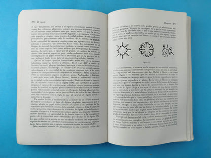 Arte y percepción visual