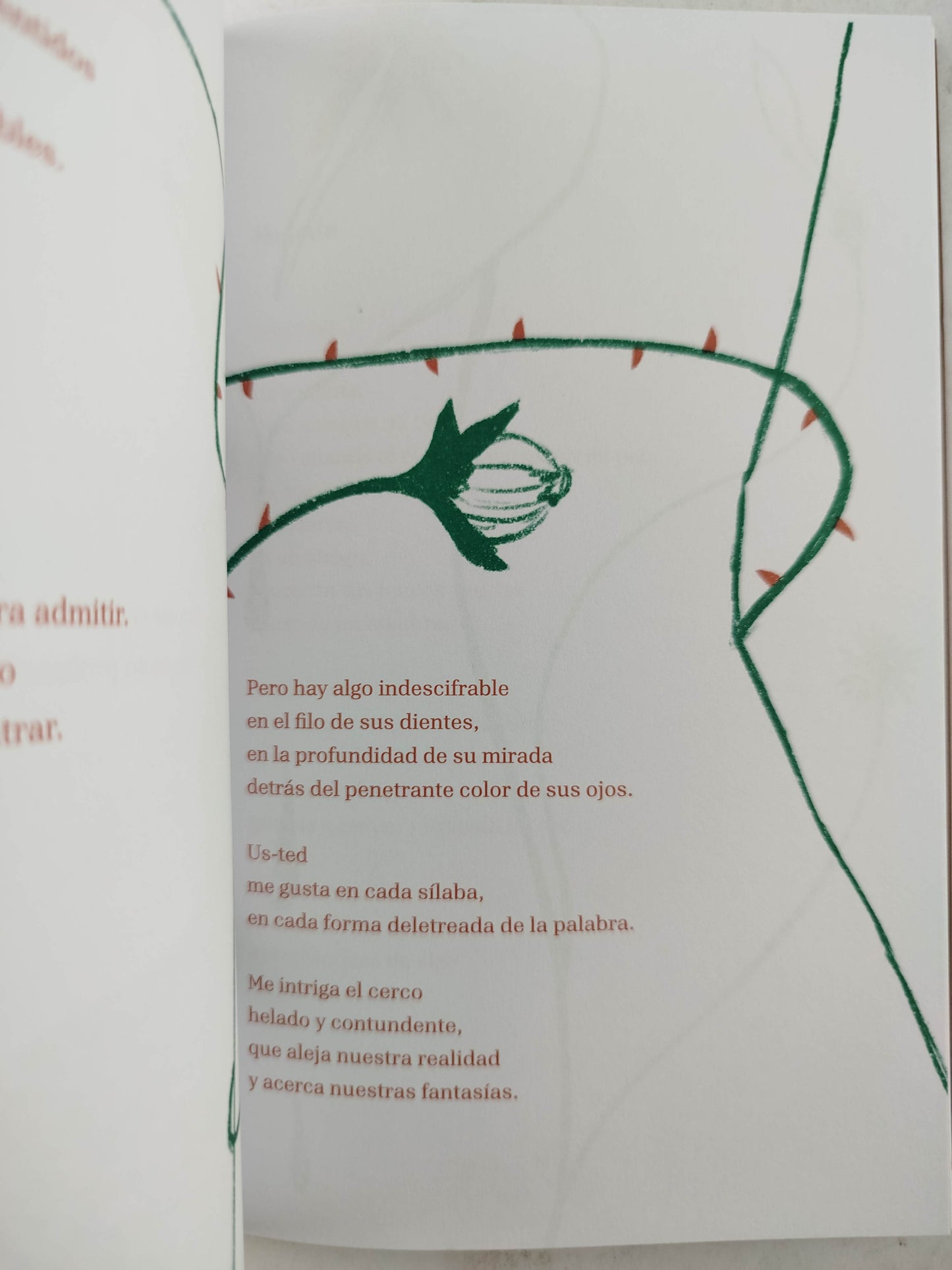 La calma del volcán by Viña Machado