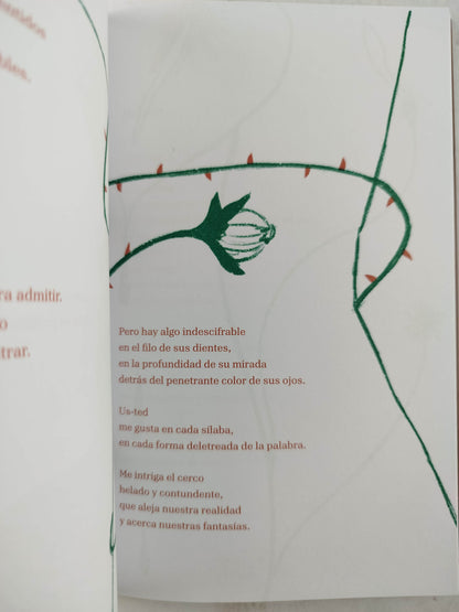 La calma del volcán by Viña Machado