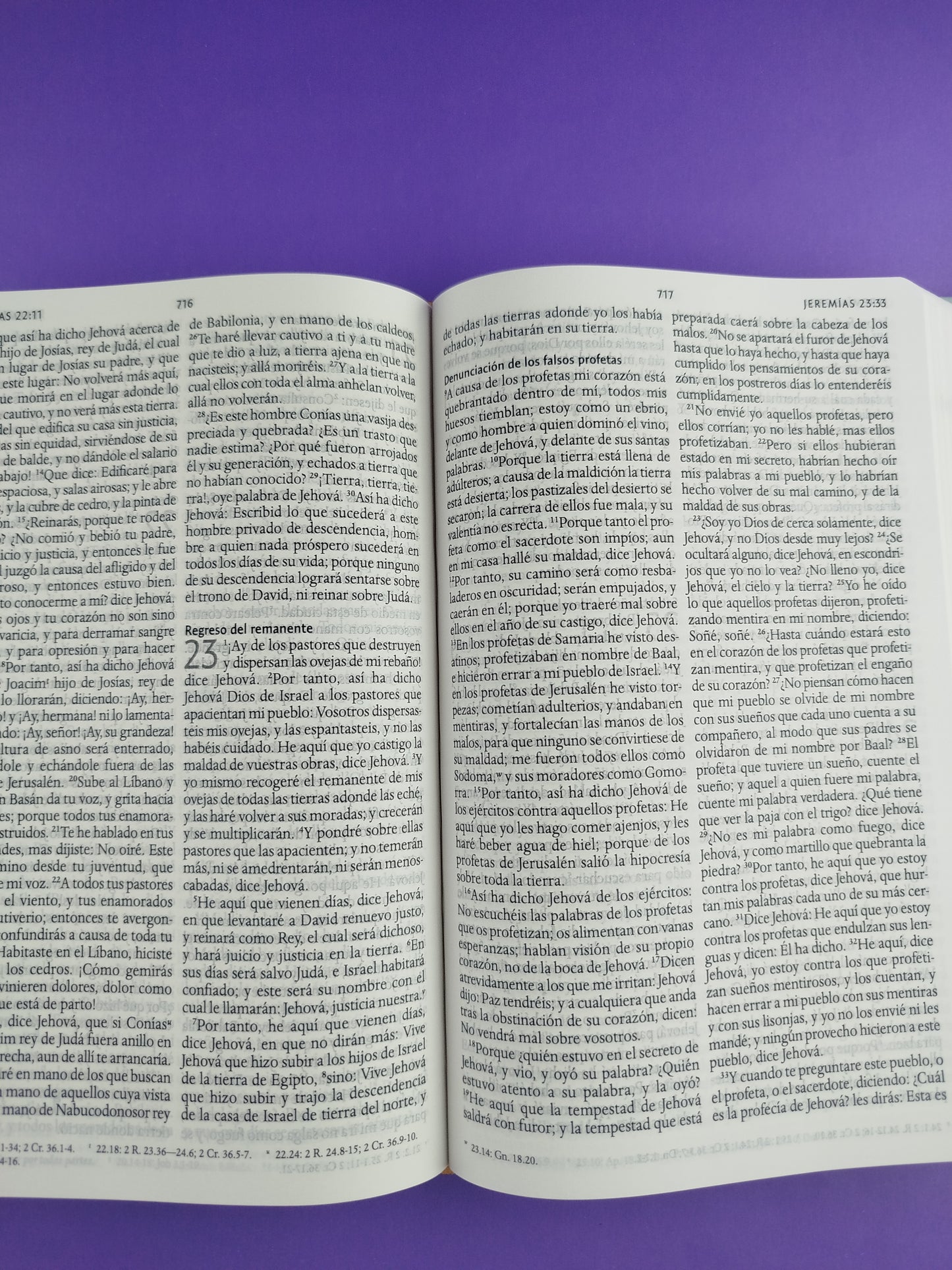 Biblia rvr 1960 nombres de Dios letra grande nude flores tapa dura