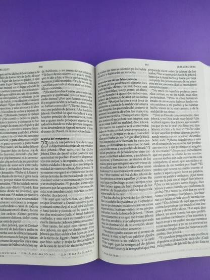 Biblia rvr 1960 nombres de Dios letra grande nude flores tapa dura