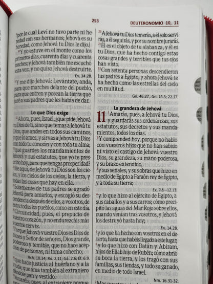 Biblia rvr letra grande roja borde plateado e índice by Reina valera 1960