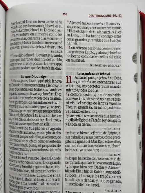 Biblia rvr letra grande roja borde plateado e índice by Reina valera 1960