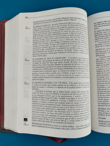 Biblia Rvr En Orden Cronológico Ed. Lujo Duo Tono