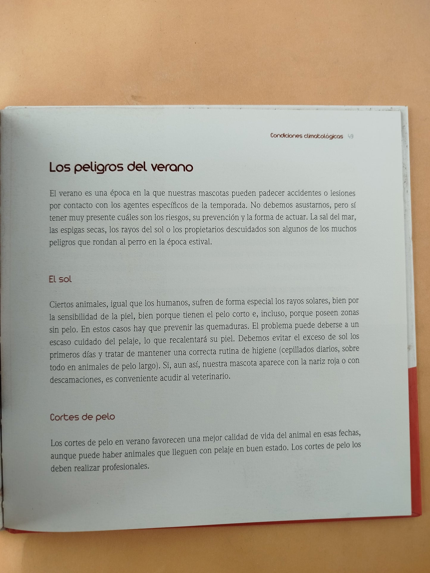 Encantador de perros 4 la salud