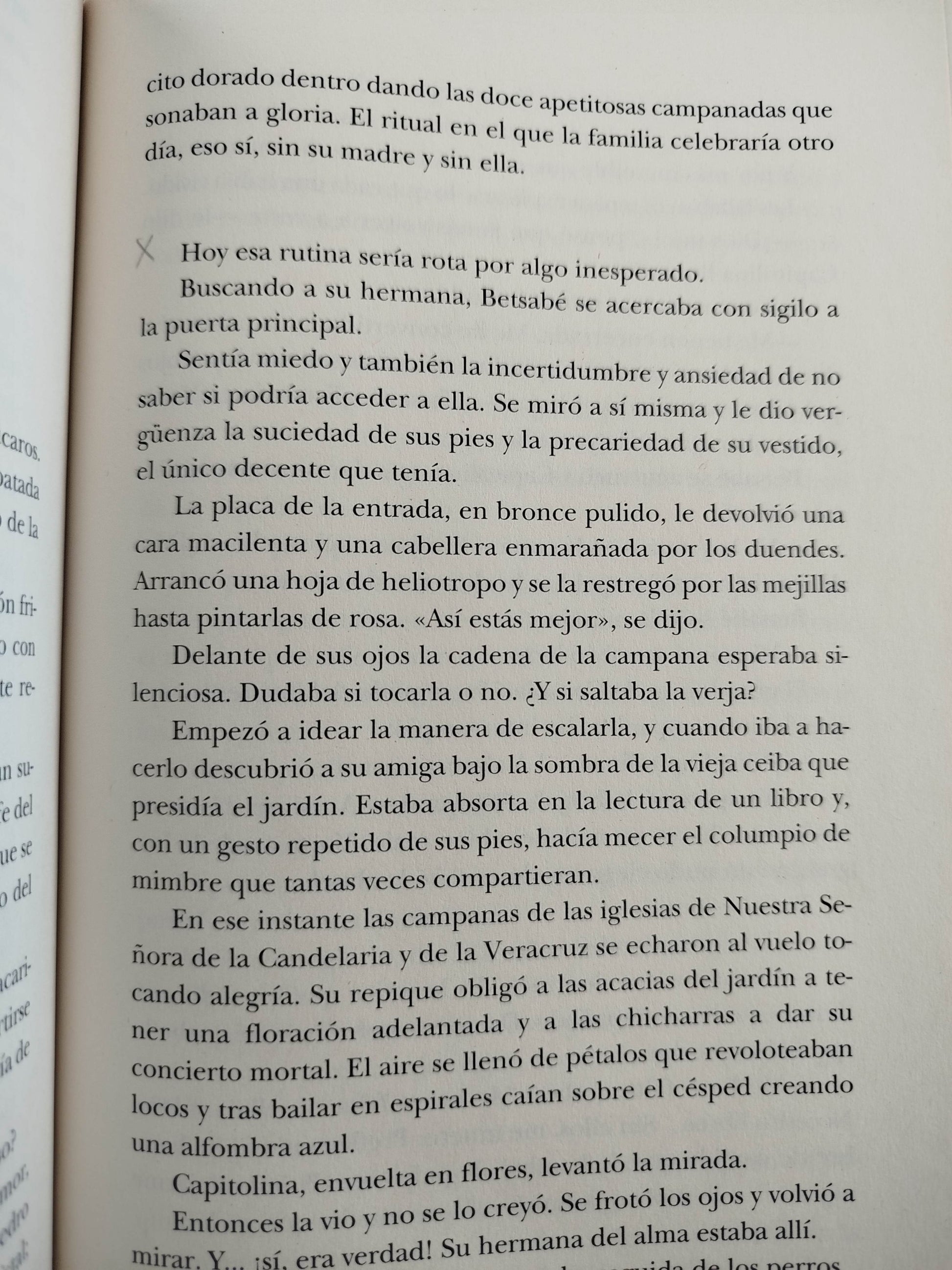 Algún día, hoy by Angela Becerra