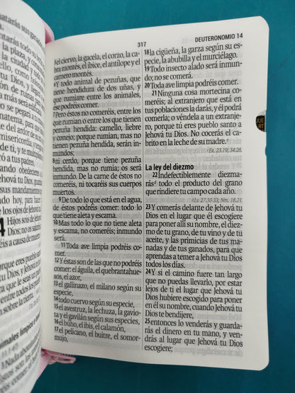 Biblia Mediana Fucsia Rosado con Índice y Letra Grande