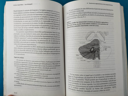 Aspectos Neurocognoscitivos De La Esquizofrenia