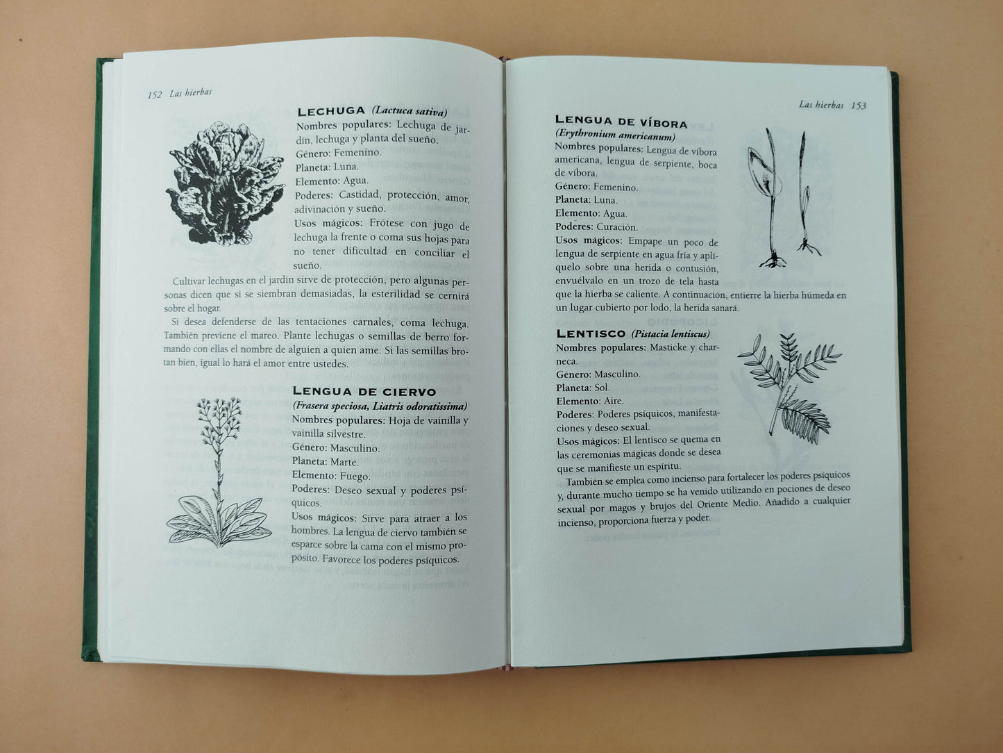 Enciclopedia de las hierbas mágicas