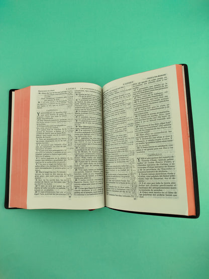 Biblia negra canto rojo RVR 1909 by Reina Valera 1960