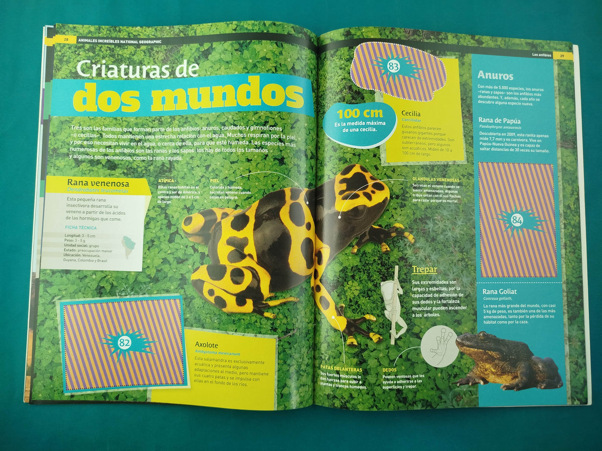 Mi Primera Enciclopedia Los Mamíferos by National Geographic Society