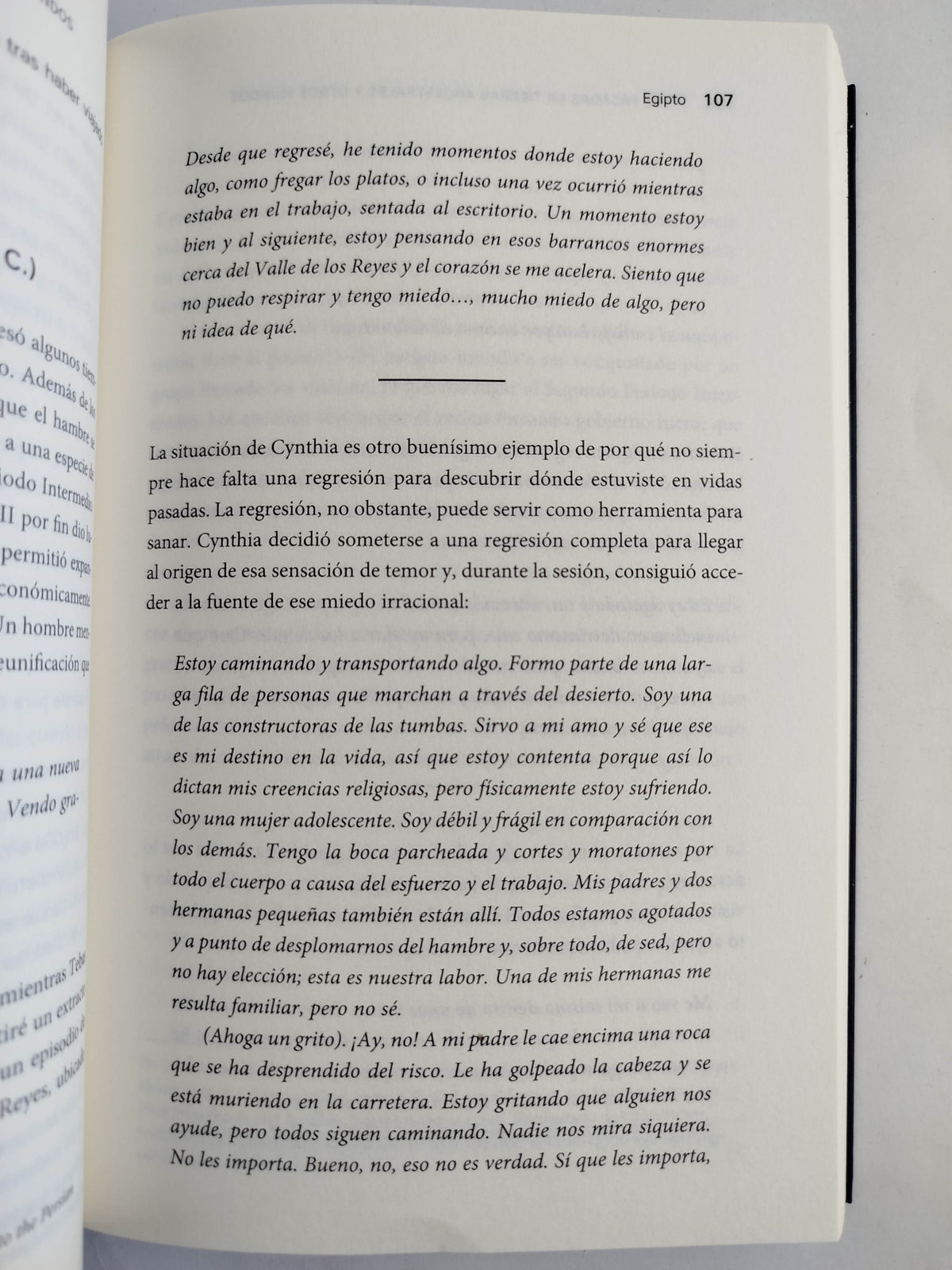 Vidas pasadas en tierras ancestrales y otros mundos Comprende el viaje de tu alma a través del tiempo by Shelley A Kaehr