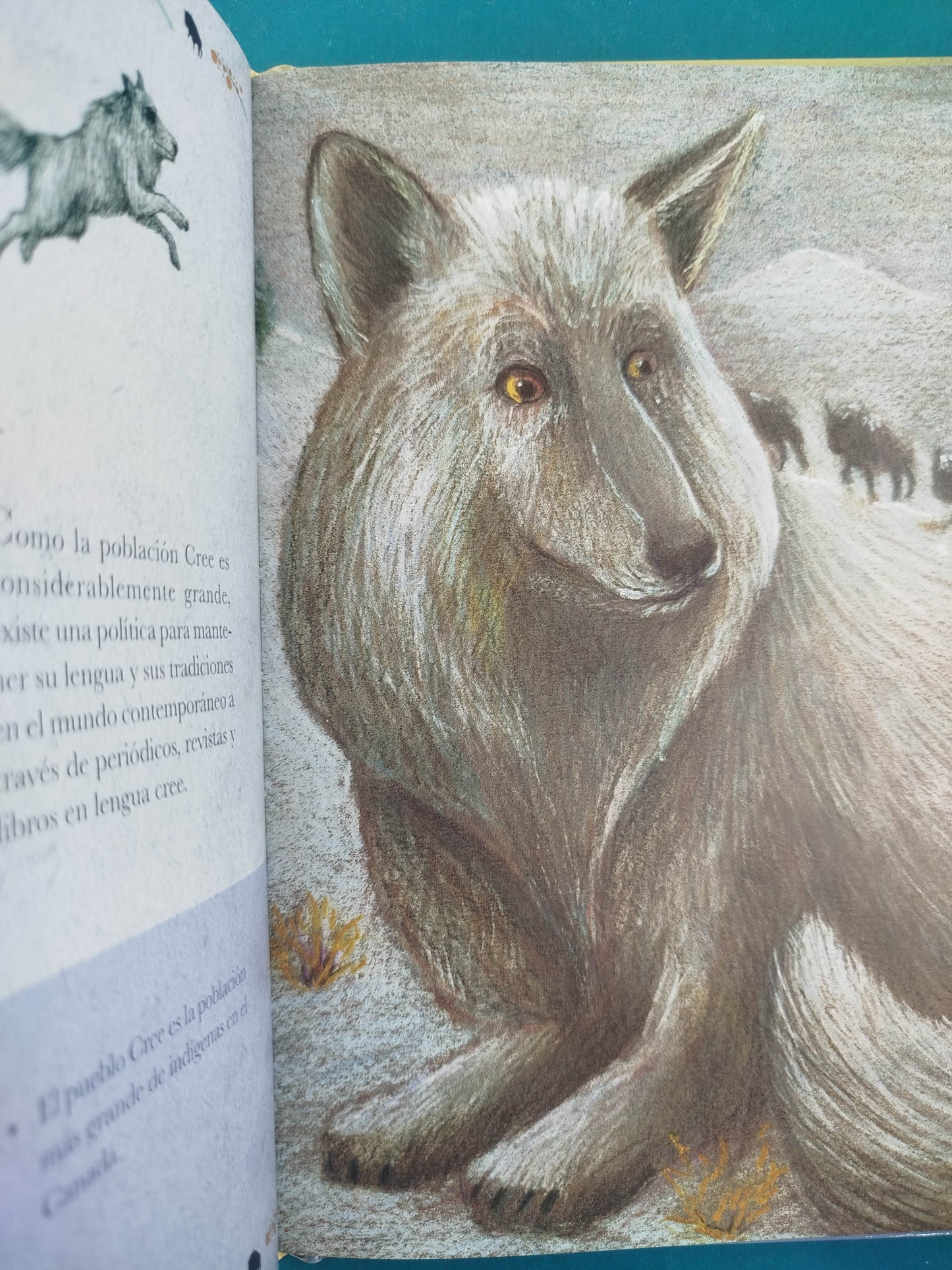 La vuelta al mundo en 25 mitos