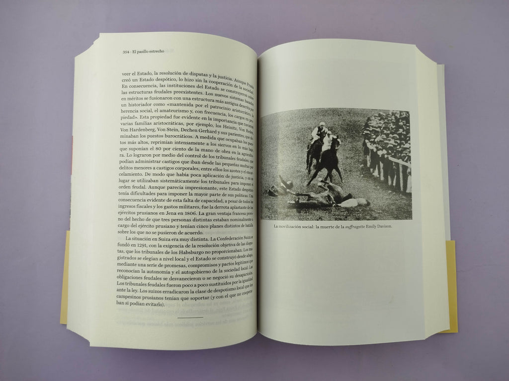 El pasillo estrecho by Daron Acemoglu, James A. Robinson