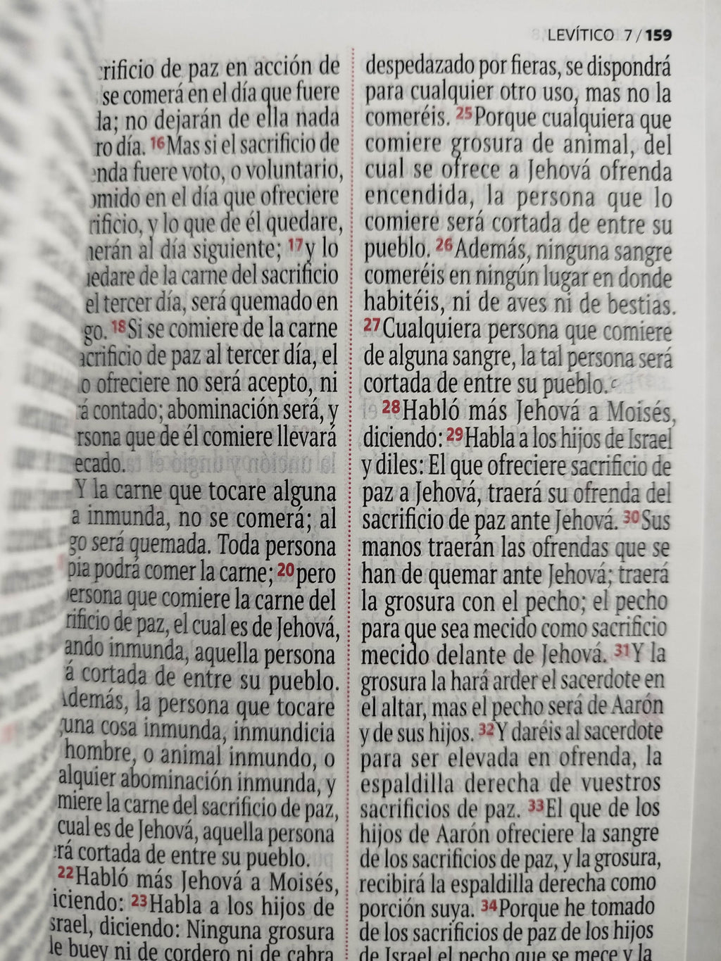 Biblia RVR 1960 letra grande blanca - flores by Reina Valera 1960