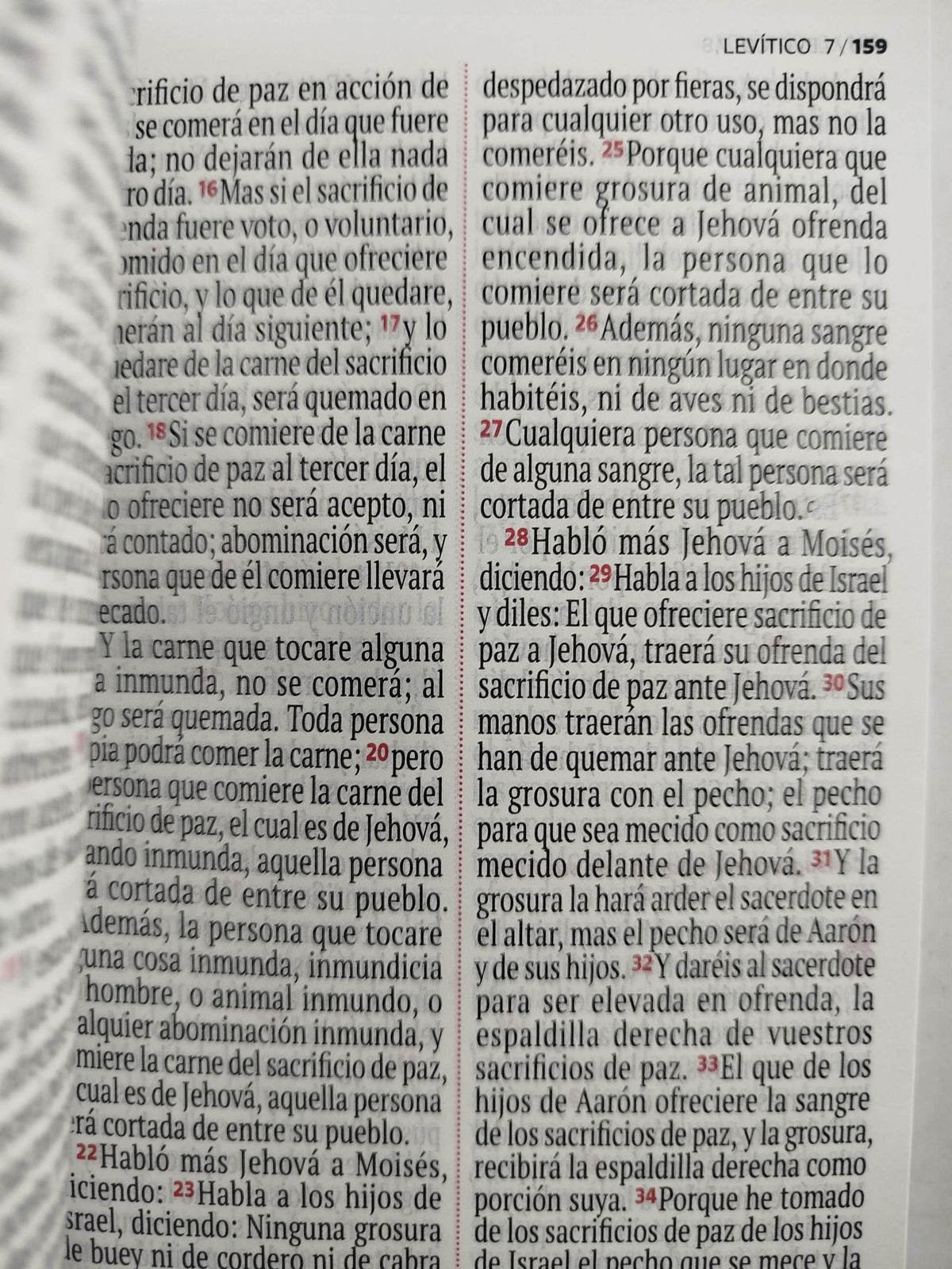 Biblia RVR 1960 letra grande blanca - flores by Reina Valera 1960