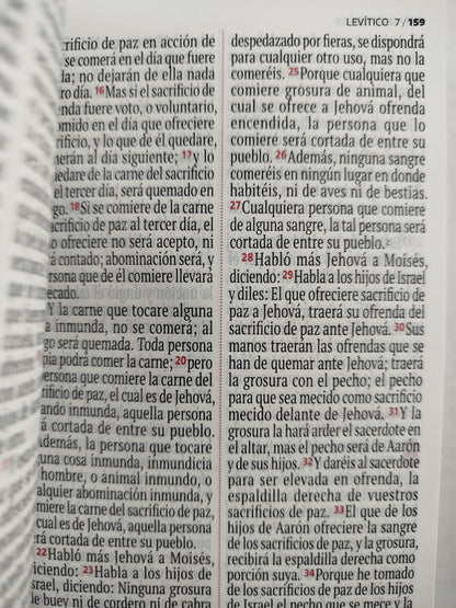 Biblia RVR 1960 letra grande blanca - flores by Reina Valera 1960