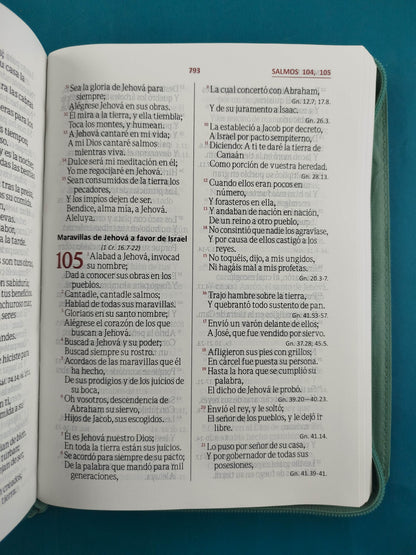 Biblia rvr 1960 Letra Gigante Verde Azul by Reina Valera 1960